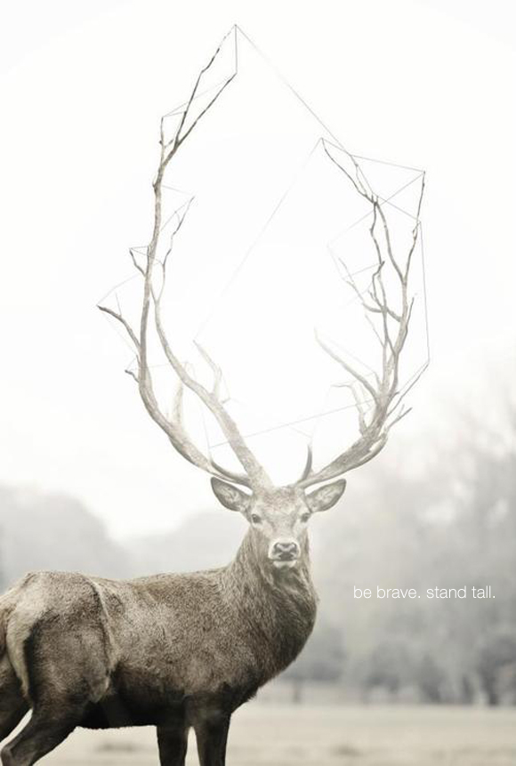be brave. stand tall. big deer