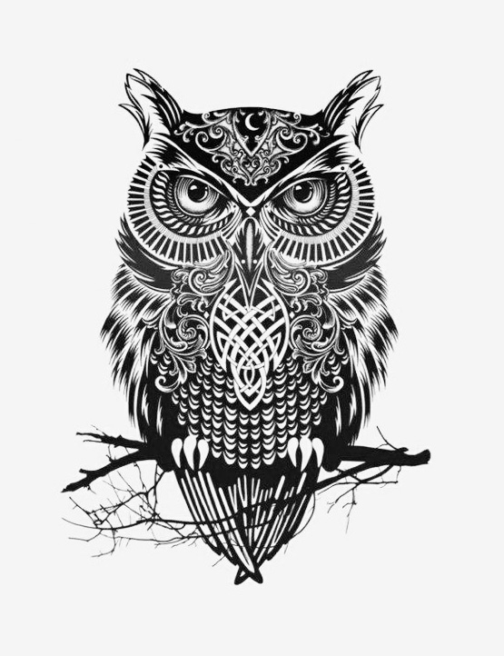 Scary owl illustration in black & white